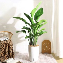 ;GֲԿ͏dͺBo˾Gֲû҃ȃ՚һ