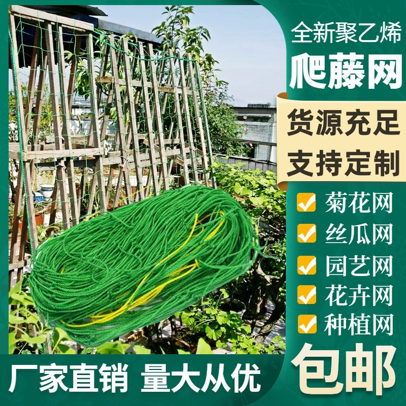 植物爬藤网绿色园艺网花卉格子网支架网菊花芹菜百合抗风抗倒伏网