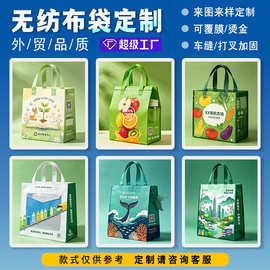 无纺布袋定做广告购物袋定制logo折叠袋厂家批发手提覆膜无纺布袋