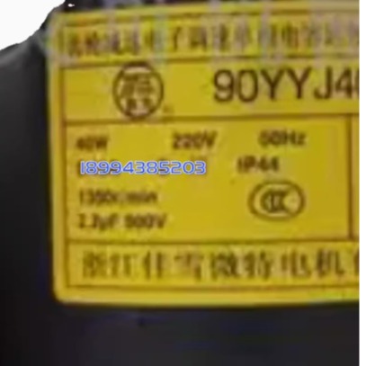 浙江佳雪微特电机 JIAXUE马达90YYJ90-3 90YYJ60-3 90YYJ40-4/3