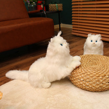 ���沼ż؈ë�q��߿ɐ�؈�乫�Д[���Ҿ��b�ͯ������ż