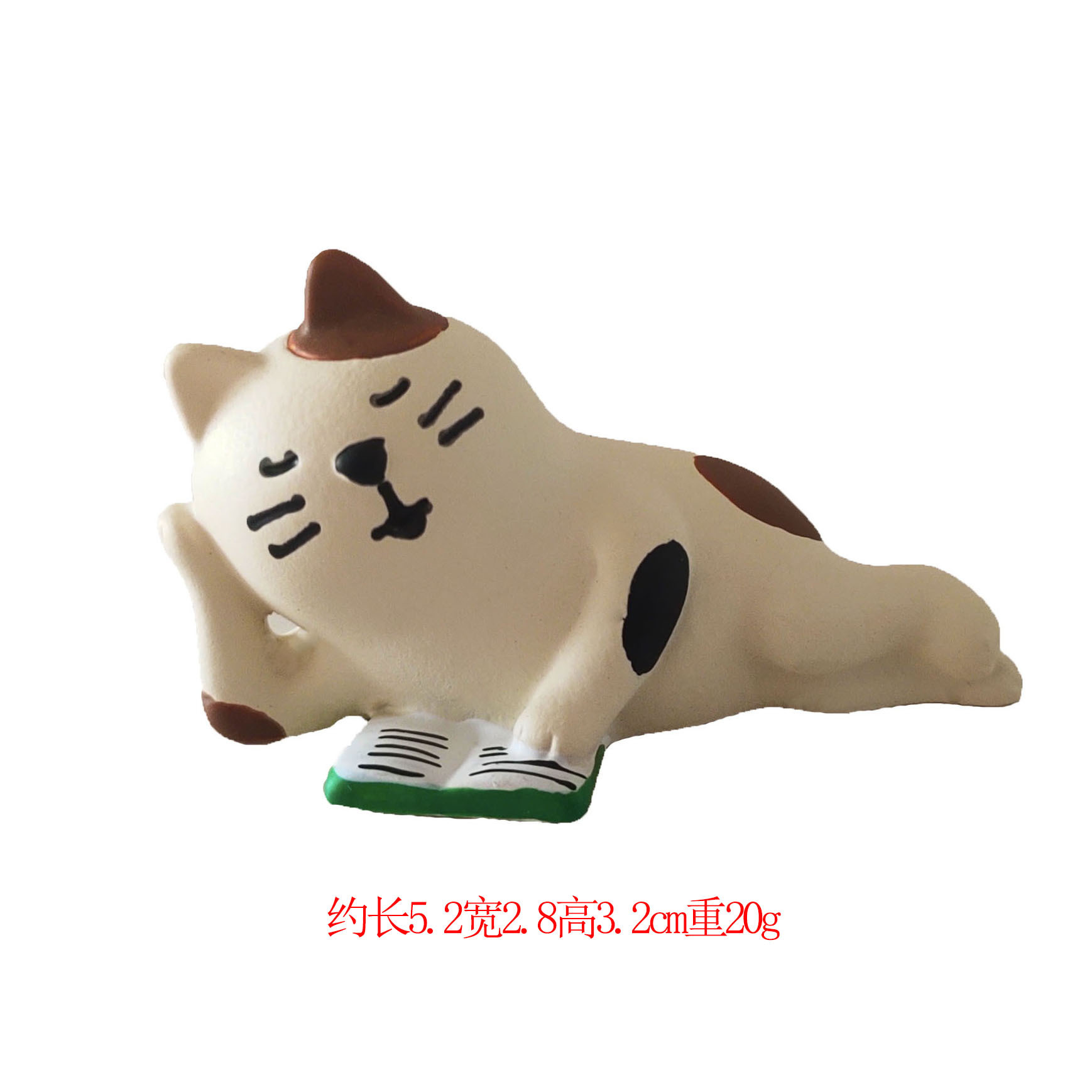 잠자는 자세로 책을 읽는 고양이