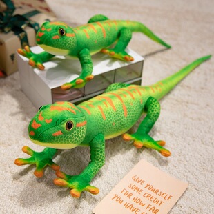 ����ڻ��G�R�Ӛ�ֺ��ӡ��ë�q�ڻ�������Ѫ���Є�����ż���湫��