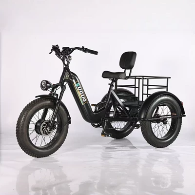 Youmiou – Auto Parts and Accessories Snow Electric Tricycle