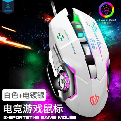 White mouse, x7