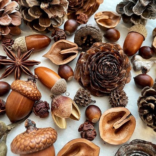 ��������}�Q�ֹ�DIY�ɻ��ɹ� �����Ƥ�ɹ����������r��