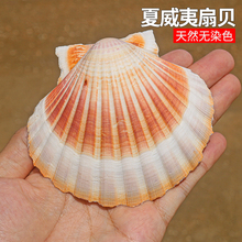 ��Ȼ����ؐ��DIY�L���������ğ�����ؐ�����N�~���쾰�b�Ʒ