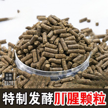 ������w����~�_���a�~���~�N�~ҰីC�ϴ�C���w������D����