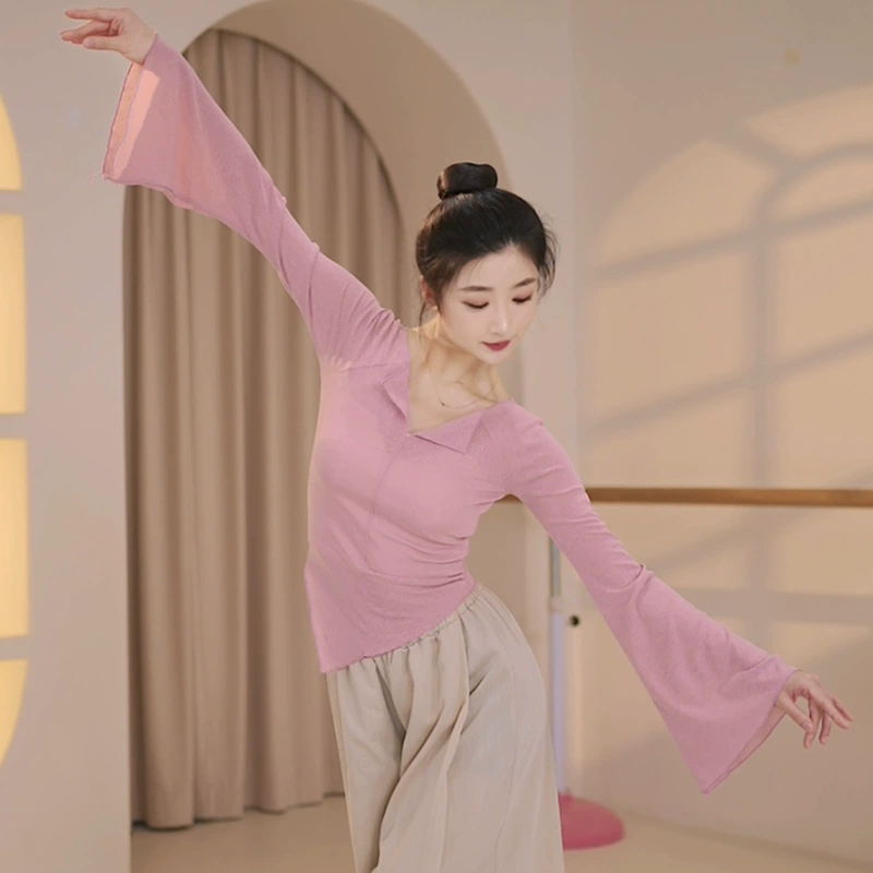 Танцевальная одежда для взрослых, классический танец, этническая танцевальная одежда, изящная ткань, сетка, одежда для занятий и экзаменов по китайскому танцу, элегантная.