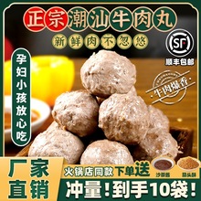 潮汕牛肉汕头手打撒尿牛肉特色美食牛筋火锅烧烤食材