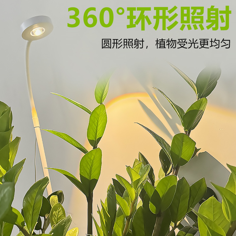 创意LED植物生长灯全光谱多肉花卉植物补光灯USB小夜灯太阳光斑灯