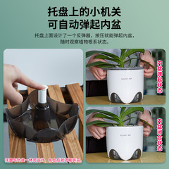 Duo-Layer Phalaenopsis Orchid Pot for Beauty Flower, Half-Water Cultivation, Root Control, Breathable, Single Orchid with Moss, Resin Plastic Outer Pot