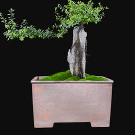 宜兴紫砂花盆特大号柴烧四方盆景盆50cm以上户外庭院盆栽厂家批发