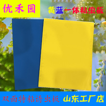 ճ�x���S�{һ�w�p���T�x�N�r��մ�x���ω�E�RС�w�x���x�S�{�T�x