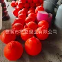 双耳单耳实心河道浮球