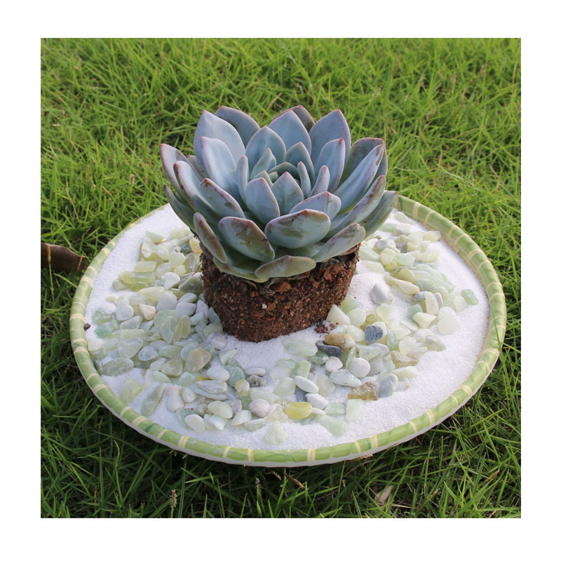 麣Դͷҡ͸ˮƺ | 4-6mmɫʯ | ¥̵