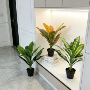 �F؛����GֲС�Ͱ����F���l����ֲ����b͏d�Ƶ겼���٘�����