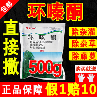 ���������l���h�ͪ���݄�