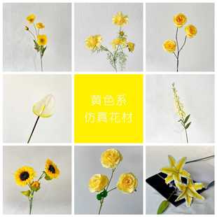 �Sɫϵ���滨��Y�ò����쾰�ٻ��������b���픻�·���廨�껨