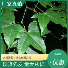 ���ع�����/ֲ�� /�� /�� ����ֱ�N  ��Ǘ�Ҏ���Rȫ����ă�