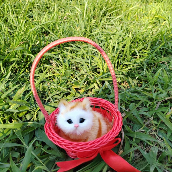 Will be called Dahong Capital Cat