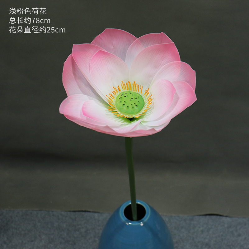 연분홍색 연꽃의 가지