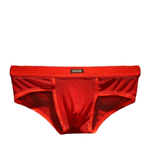 Men's underwear new style briefs mesh U convex bag sexy low waist sexy factory direct sales wholesale men's pants