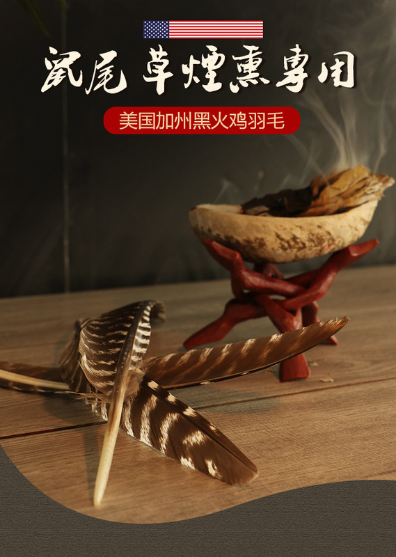 美国加州黑火鸡羽毛白鼠尾草净化引导羽毛风元素祭坛仪式圣品 图 1