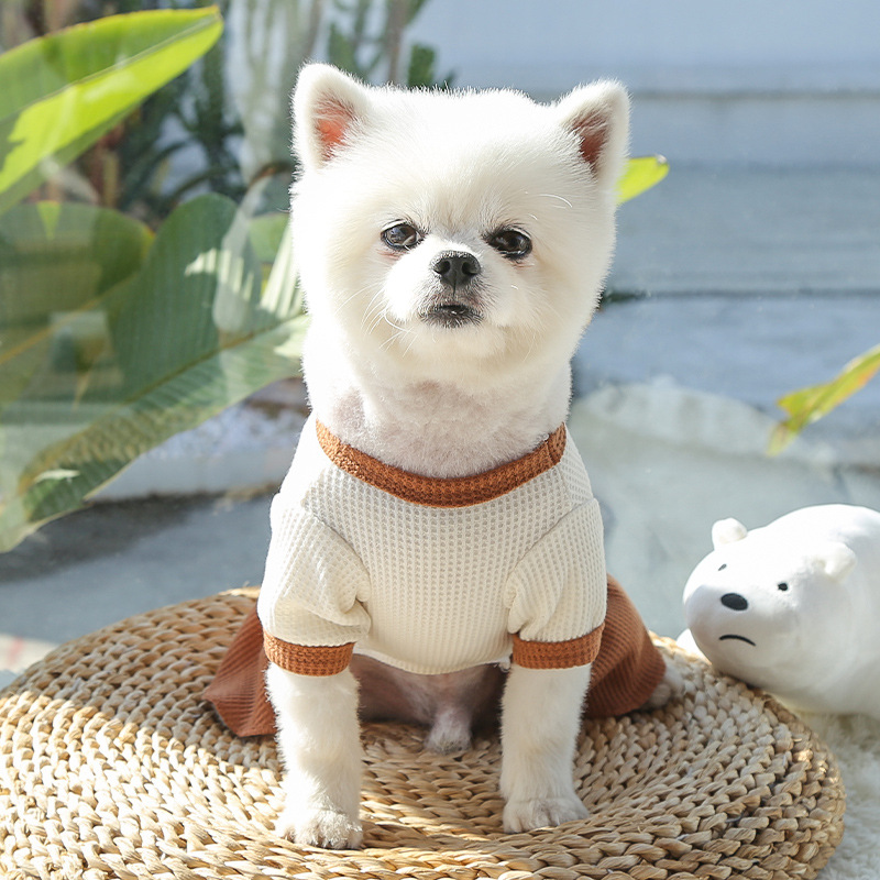 Camiseta con falda para mascotas, camiseta para parejas, osito de peluche, ropa para perros medianos_voghion.com