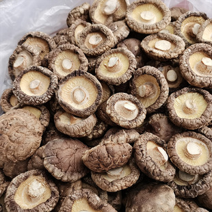 ���㹽250g����؛�r���خa���{�㹽Ģ��ʳ�þ������a�����l����