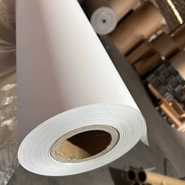 牛皮纸;描图、绘图纸;功能薄膜