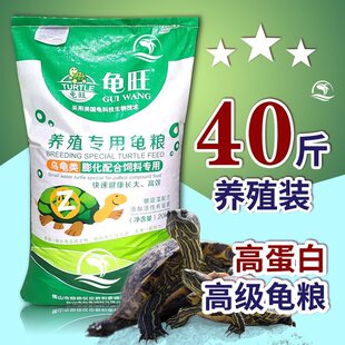 �������Z��Ϟ����ϴ�С�׵�ˮ����ʯ���X�S�����{ʳ���w��ͨ����