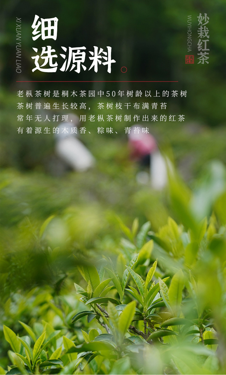 正山小種詳情頁_02.jpg