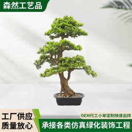 仿真绿植崖柏树高级感客厅逼真盆栽小型摆件绿植墙造景高端轻奢