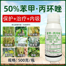 50%���ױ��h���Ѽ׭h���O������٘�ְ߲��rș�r�ù��䚢����