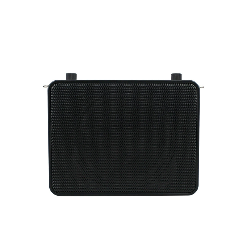 Класс любви MR3500W беспроводной громкоговоритель высокой мощности обучения на открытом воздухе фитнес-зал танцевальная карта bluetooth стереосистема