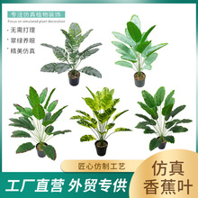 ���ͱ��W����ֲ������㽶�~�W�t�پGֲ�������l�҃ȿ͏d�b��쾰