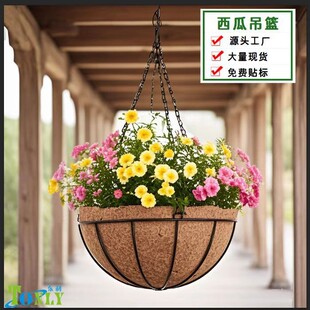 �|���Ғ�ʽ��������A��͸��Ҭ���w�S�F�ƻ��@���s���þG�}�����