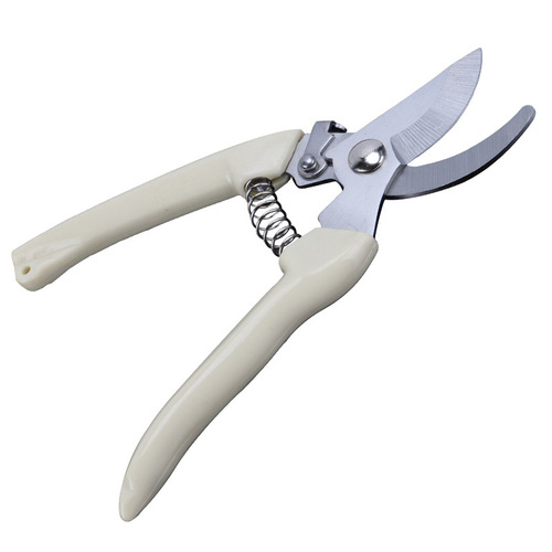 Pruning garden scissors, gardening scissors, fruit tree picking, flower art, bonsai fruit branch scissors, garden tool scissors wholesale