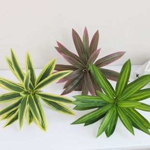 ����ٺ����~�ӆ�֧�٘�֦ DIY�����b�������Կ�֦�쾰�Gֲ����