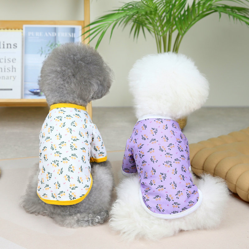 (2개) 2022 새로운 애완 동물 의류 가을, 겨울 작은 꽃 가디건 스웨터 중소형 개 의류 및 의류