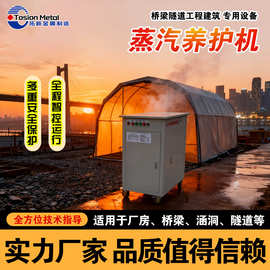 48KW电加热蒸汽发生器混凝土养护蒸养机工业电蒸汽锅炉梁场养护器