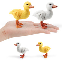 跨境儿童仿真家禽鸭子模型实心黄鸭白鸭农场动物场景装饰摆件玩具