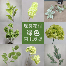 �Gɫֲ���~��õ��ĵ��������w��ײ��~�Ͳ��~�O���~�����~���滨