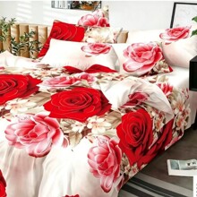 ���ڵϰ������״��α��ױ������׺��s��ɫ���g����������