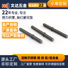 ʮNSSӹFʮNᔾoBӼСζ