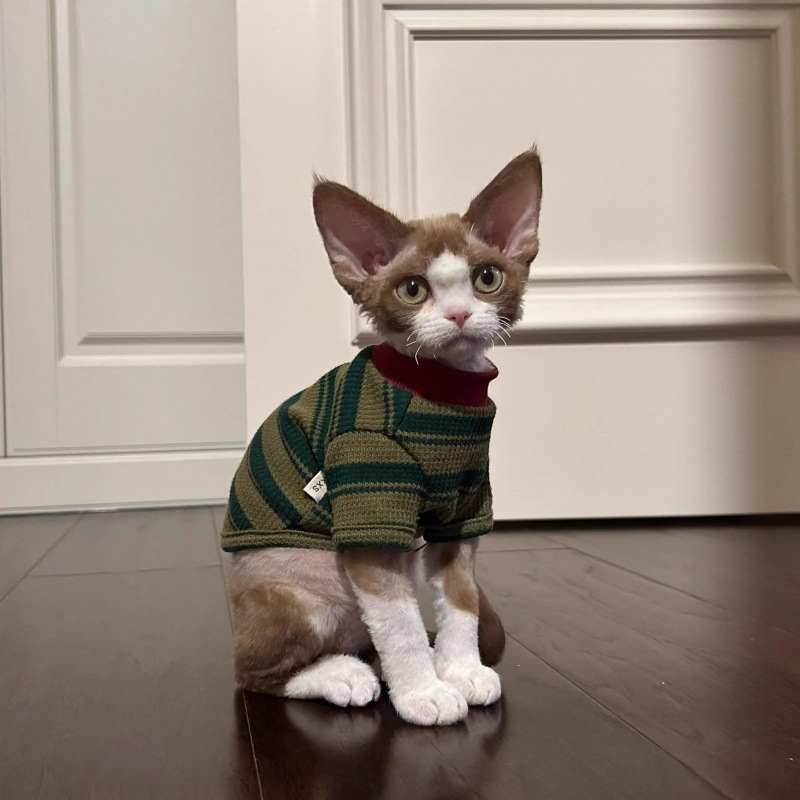 Ropa de gato primavera y verano 2025 nuevo vestido de dos patas a rayas lindo gato sin pelo gato azul muñeca gato chaleco de gato pequeño