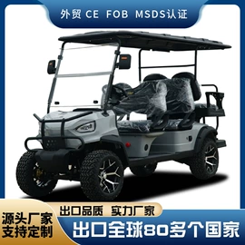 电动观光车;其他电动车;高尔夫车
