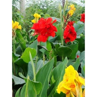 ˮ�������������˽������˽�ͥԺ�G�����˽������ͺ��͟Ứ��ֲ��