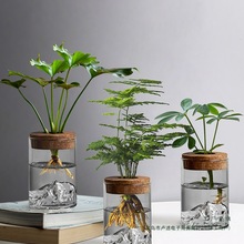 ��������ˮ��ֲ���k��������GֲС�[���҃ȃ����՚���˺��B�՚�